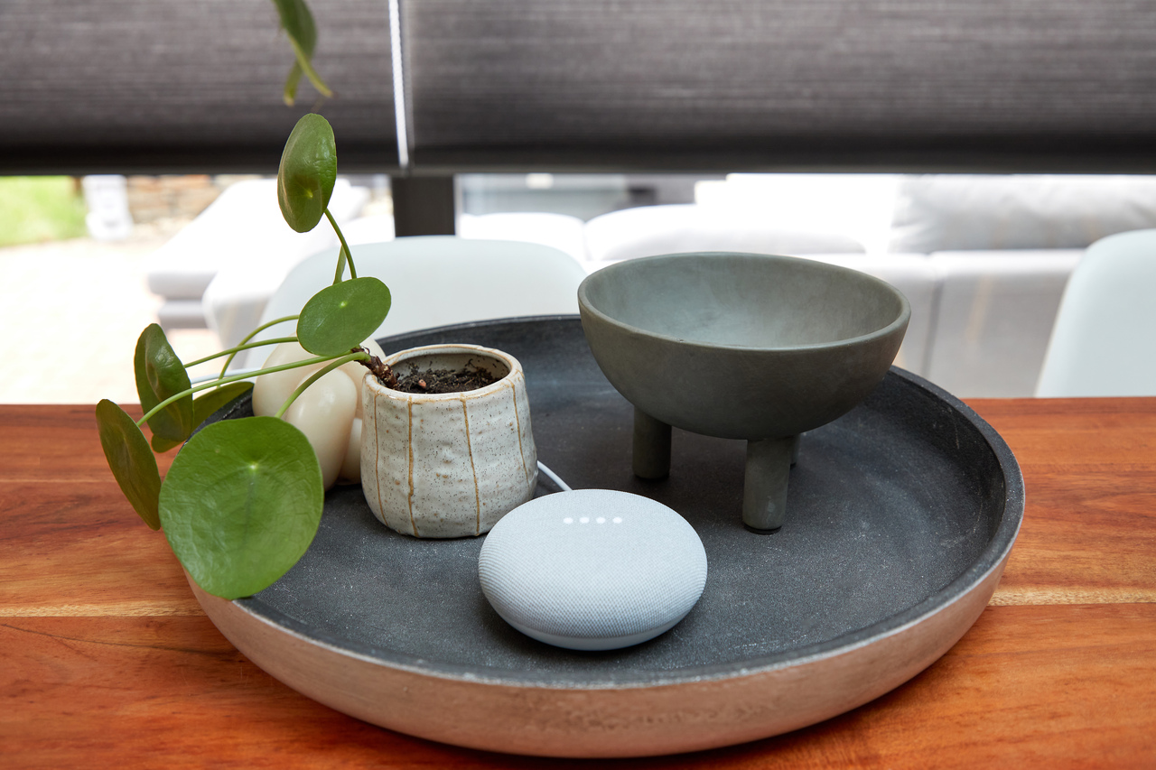 Ts 23 Kelly Anderson 021