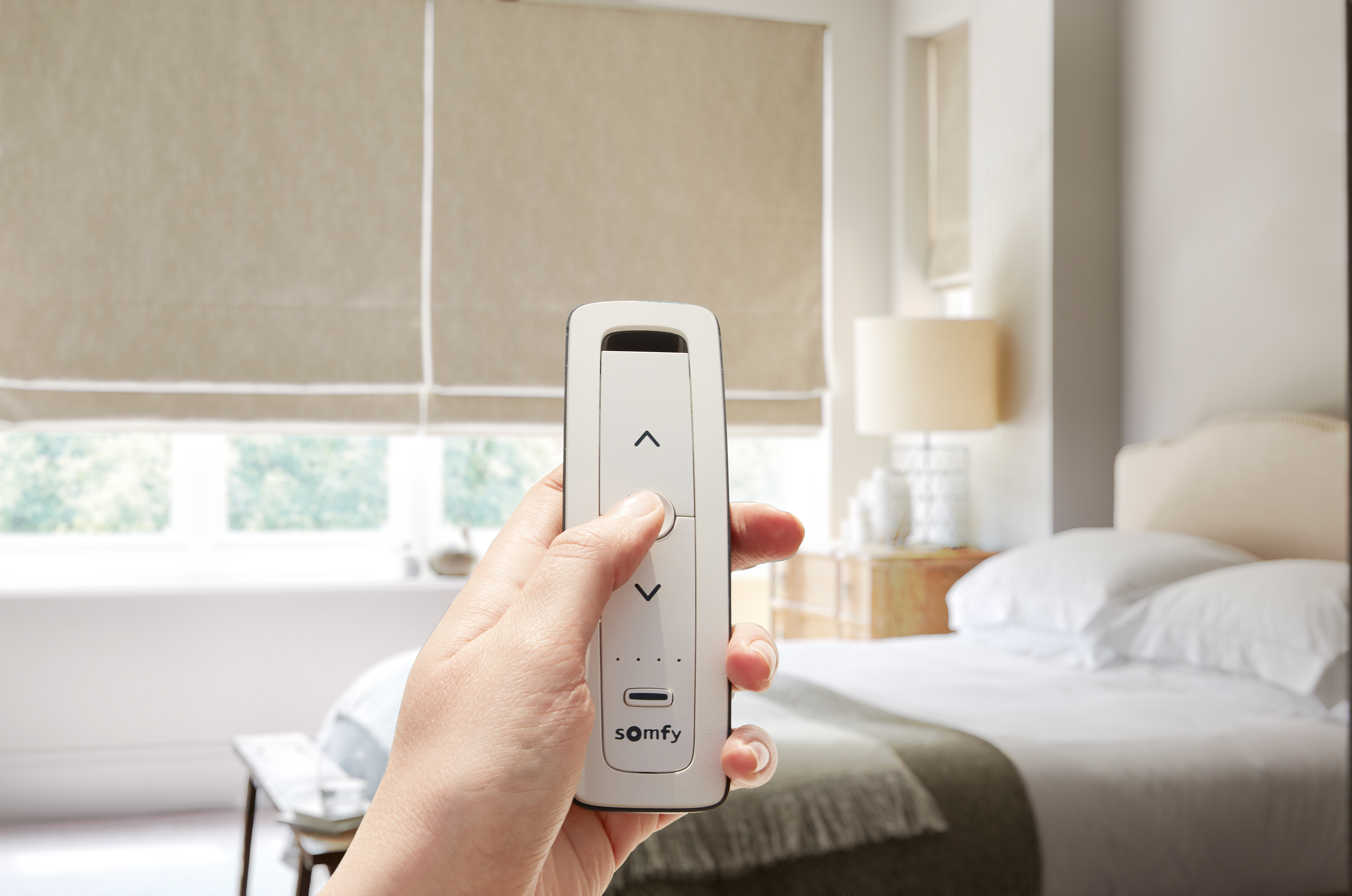 Hemingford Limestone Somfy Remote